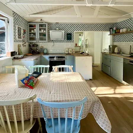 In Sandersvig Delight Filled With Colours * Haderslev